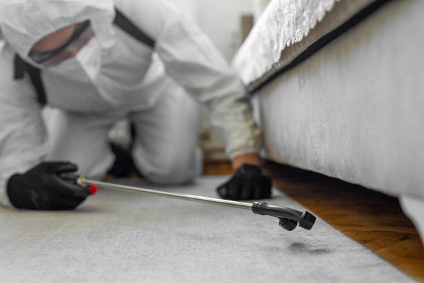 Professional Bed Bug Control technician working in South Bend, WA