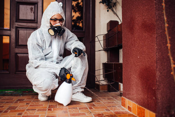 Reliable Bed Bug Control contractor in South Bend, WA by Nex Pest Control