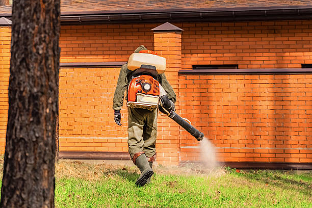 Trusted Ant Control service in South Bend, WA - Nex Pest Control